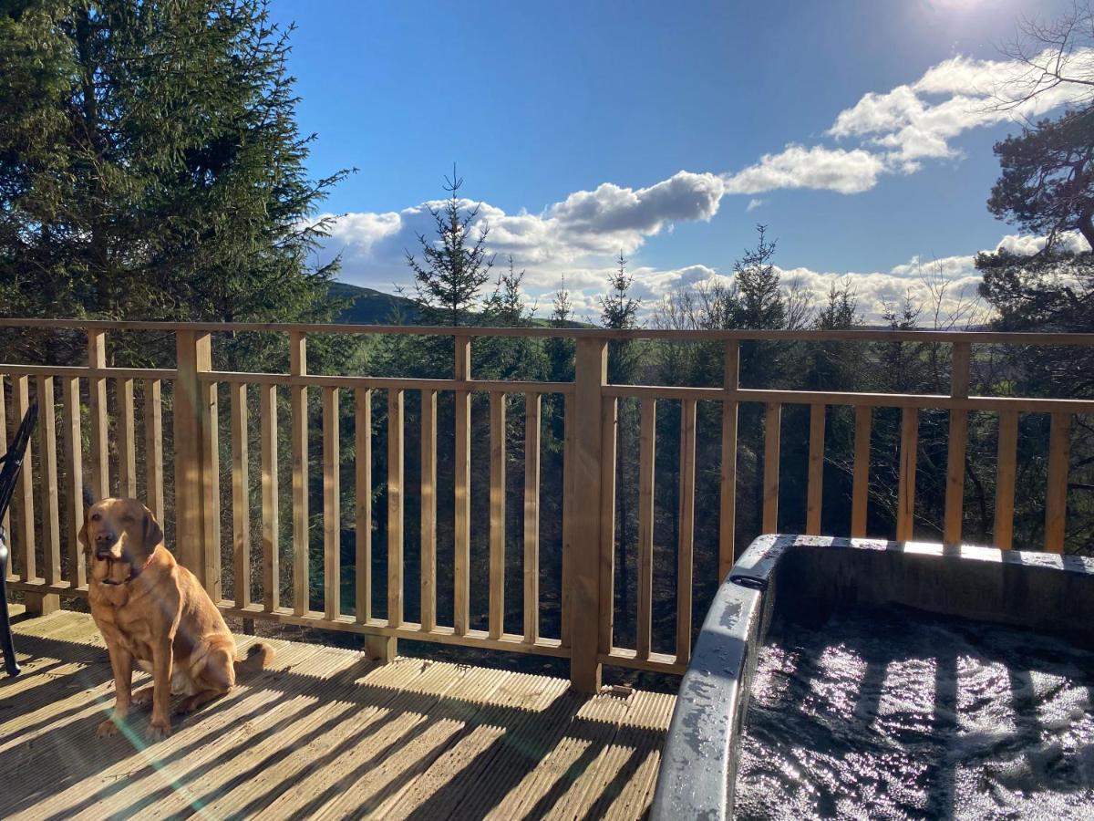Acorn Lodge With Hot Tub Cupar Buitenkant foto